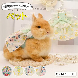 ybgƂ킢 ybg{[h2_Zbg p ETMp [h n[lX n[lX ybgEFA EFA [Xؑ s[X ybgpi ybg 