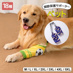 Iׂ18 pGT|[^[ p ֐߃veN^[ O  ֐ߕی ֐߃T|[^[ GT|[^[ Œ I Ђp V pi h~ ybgPA rߖh~ p Ђ