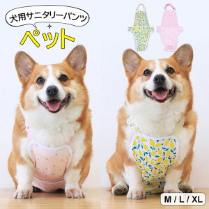 }i[pbh\\ 2FWJ  D悯Gv p pc IcJo[ }i[EFA }i[pc pGv ăGv pi }[LOh~ GUxXJ[