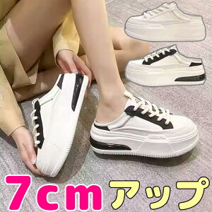 7cmAbv ₷Ă 40 50 Cɂ Xj[J[T_ NbV\[ ₷ Â炢 OJT_ X|[cT_ Xb| ƂȂ CR  