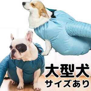 S-2XLTCY S݌v 悭 ybg nEX {bNX u^  L ƃVv[ hC[ ybgpi ybgObY  ^ Z yX  u[ ^ ^