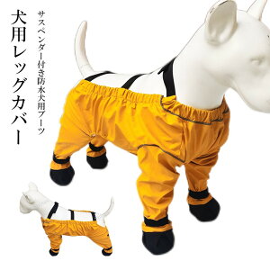 o₨UɍœKI2FWJ pbOJo[ pu[c CR[g Cpc TXy_[t Ol{pc rߖh~ \bNX OEH[LO ^^p l{