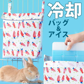 キャリーにも 冷却バッグ＆アイス 2点セット ケージに掛ける 冷却グッズ 冷却用品 マット ジェル タオル ペット ひんやり アイスノン 冷感 暑さ対策 熱中症対策 エアコン クーラー 空調 洗える 涼しい 冷える お出掛け 散歩 うさぎ 猫 犬 送料無料