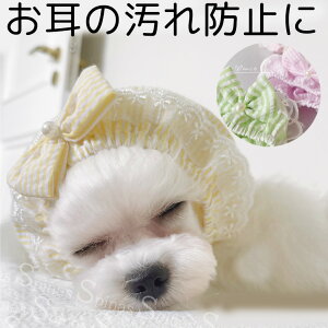 ̉h~ Gh~  wAoh hbOANZT[ p  ꎨ h~ HwAoh  ^ ^ L  p[r[Y { MK`F