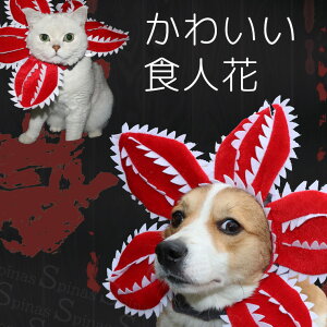 Ԃ 蕨  jbgX H~ ybgXq RX`[ RXv h LN^[ f z[ h~ lH t[ nEB LOʐ^ N ^ ^