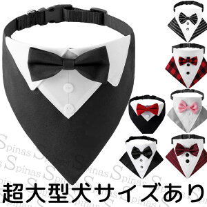 ^TCY LOBe Vc lN^C ybg L  N  ʂ RX`[ x X[c tH[} ^LV[h ybgEFA  p[eB[ hXA