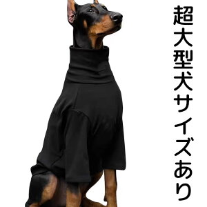 ΂nClbN p[X NR[f g iD  Ȃ Jo[I[ J[LO[  H~ Wp[ ~ R[g AE^[ ۉ h ^ ^ 