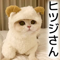 ゆるかわ着ぐるみ ひつじ 羊 未年 ペット服 犬 年賀状 着ぐるみ ぬいぐるみ コスチューム 2027年 干支 被…