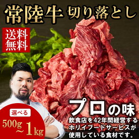 【OP記念セール!1個無料／20％OFF】常陸牛 切り落とし 選べる容量(500g/1000g) お買い得 まとめ買い お得 お肉ギフト 黒毛和牛 牛肉 お取り寄せグルメ ブランド牛 霜降り 国産 焼肉 贈り物 高級 誕生日 プレゼント 祝い ラッピング 熨斗対応 冷凍 ホリイフードサービス