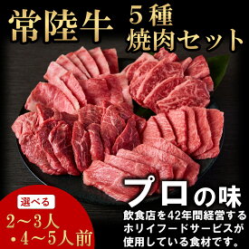 常陸牛 5種焼肉セット 選べる容量(2～3人/4～5人前) お肉ギフト 黒毛和牛 牛肉 お取り寄せグルメ ブランド牛 霜降り 国産 焼肉 贈り物 高級 誕生日 プレゼント 記念日 結婚祝い お歳暮 ラッピング 熨斗対応 冷凍 ホリイフードサービス