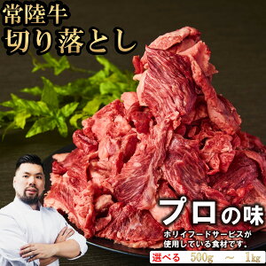 yubNtCf[!!1^20OFFz헤 ؂藎Ƃ Iׂe(500g/1000g)  ܂Ƃߔ  Mtg јa  blackfriday  uh ~ Y ē 蕨 