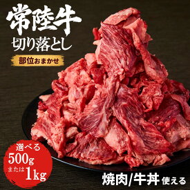 【OP記念2個購入で1個無料／20％OFF】常陸牛 切り落とし 選べる容量(500g/1000g) 焼肉 牛丼 お買い得 まとめ買い お得 お肉 ギフト 黒毛和牛 牛肉 大量 ブランド牛 霜降り 国産贈り物 高級 誕生日 プレゼント ラッピング 熨斗対応 冷凍 キャンプ飯 ホリイフードサービス