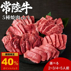 【父の日 ギフト】常陸牛 希少部位 5種焼肉セット 食べ比べ 選べる 500g 1kg ギフト 送料無料 肉ギフト A4 A5 等級 黒毛和牛 和牛 牛肉 誕生日 高級 焼肉セット 高級肉 自宅用 お取り寄せ 贈り物 プレゼント 父の日 お中元 御中元 お歳暮 御歳暮 キャンプ BBQ 肉のイイジマ
