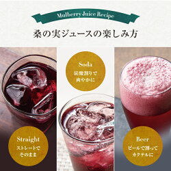 【NEW桑の実ジュース500ml】箱付熊本県産限定生産【新製法で水を加えず国産マルベリー果汁に甜菜糖で飲みやすく仕上げました】