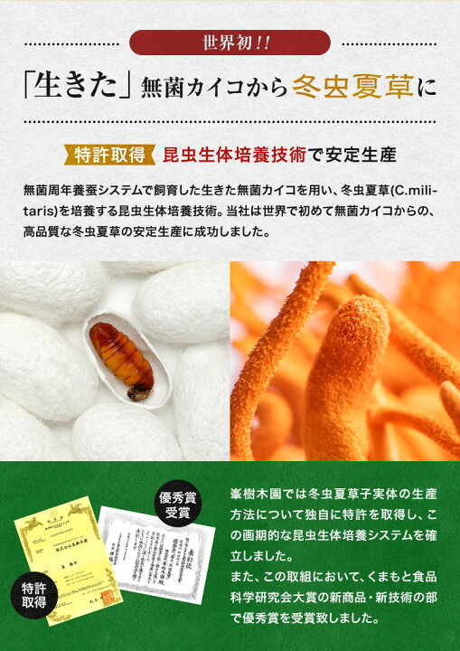 楽天市場】冬虫夏草 サナギタケ 120粒 【送料無料】純国産品冬虫夏草 