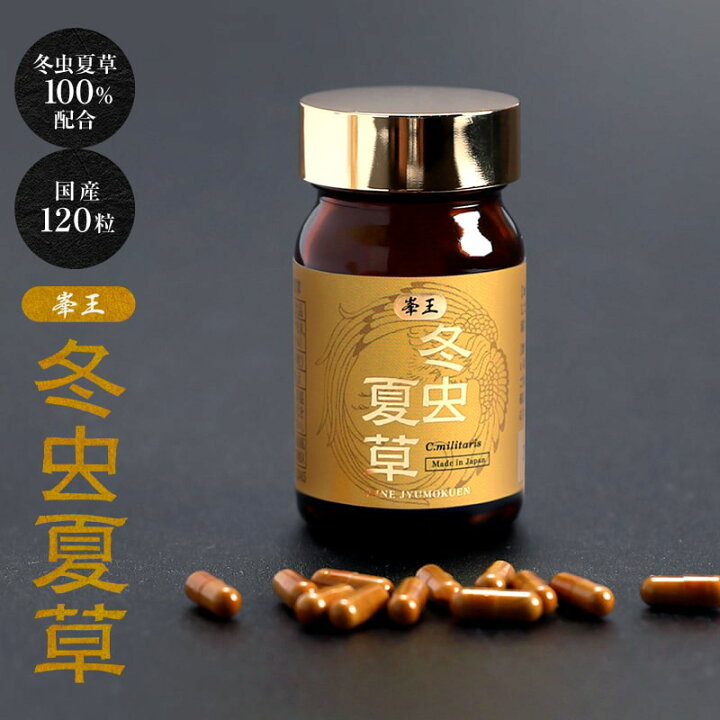 楽天市場】冬虫夏草 サナギタケ 120粒 【送料無料】純国産品冬虫夏草 