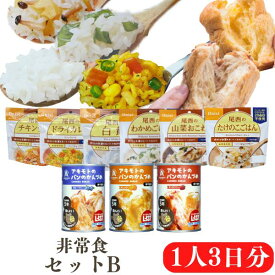 非常食セットB 1人用/3日分 （9食分） アルファ米 パンの缶詰 尾西 パンのアキモト 【お届け不可地域：北海道・沖縄・離島】 保存食 保存食セット おすすめ 尾西食品 登山 キャンプ アウトドア パン ご飯 避難グッズ 簡単 長期保存 1人分