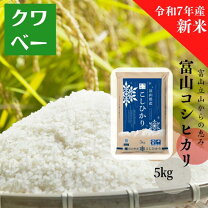 楽天市場】コシヒカリ 富山 30kgの通販