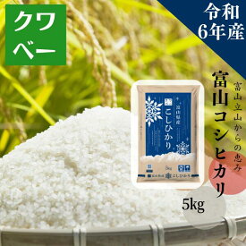 米 5kg 令和6年産 富山県産コシヒカリ 精米 白米 送料無料 国内産 米屋 甘い 高品質 宅配 日付指定 【お届け不可地域：北海道・沖縄・離島】 アルプス 雪解け水 立山アルプス コシヒカリ産地 名産地 旨味 美味しい おにぎり おむすび 弁当 定食 ご飯 お寿司 早い F2 new