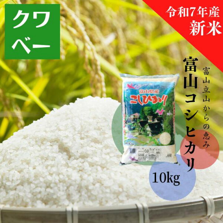 楽天市場】米10kg 令和7年産 富山県産コシヒカリ 精米 白米 送料無料 