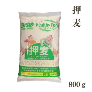 Y  800g 䂤pPbg y͓wsz y͂snFkCEEz