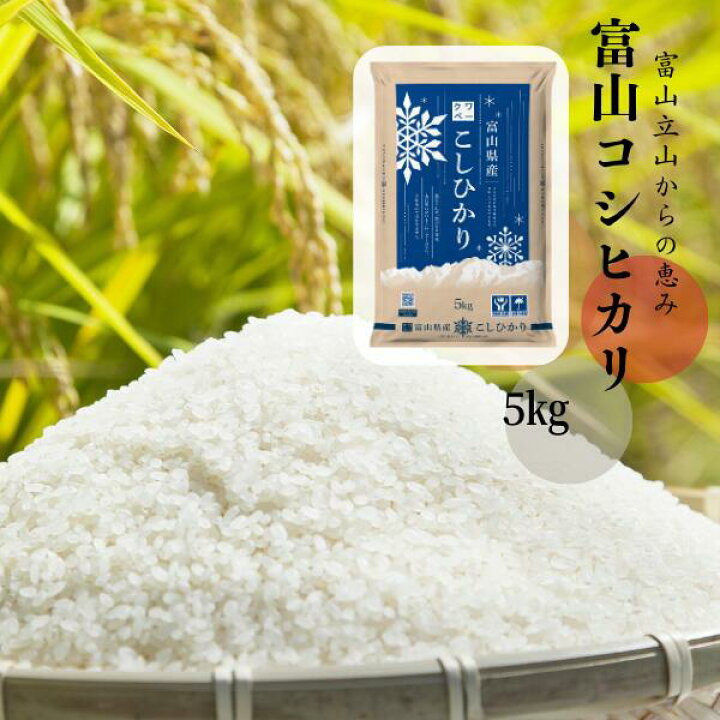 楽天市場】米 5kg 令和6年産 富山県産コシヒカリ 精米 白米 送料無料  