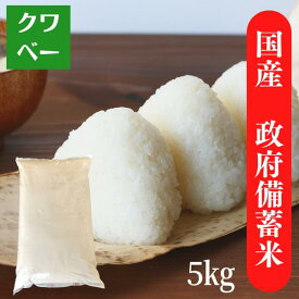 【ご注文順で現在出荷中】5kg 政府備蓄米 送料無料 日時指定不可 　生活応援米 お米 国産10割 ブレンド米 精米 白米 5キロ ご飯が進む お弁当 【お届け不可地域：北海道・沖縄・離島】 毎日の食卓 安い 安心安全