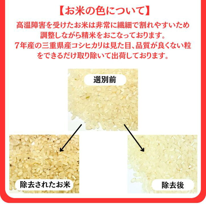 楽天市場】米10kg 令和7年産 三重県産 コシヒカリ 金印 送料無料 精米 