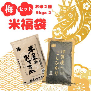 �y�N�����ӍՁb�������߉����z�y���� ���ʌ��肨�܂��t �z�~�Z�b�g �� 10kg �i5kg×2�j2��e1 ��������