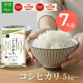 令和7年産 コシヒカリ 5kg 10kg 15kg 送料無料 精米 白米 国内産 米屋 お米 国産 日付指定 家庭用 大容量 定食 ご飯 ハンバーグ とんかつ ギフト対応可 粘り ふっくら 硬くなりにくい