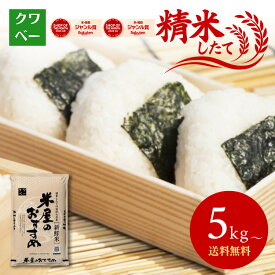 クーポン利用で2,974円～【7年産ひとめぼれ50％以上ブレンド】 米5kg 10kg ブレンド米 家計応援米 精米したて お米 国産100％ 送料無料 国産 家庭用 あっさり 食べやすい 和食 おにぎり 弁当 【お届け不可地域：北海道・沖縄・離島】
