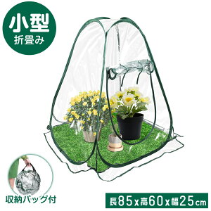 y|Cg5{zrj[ nEX t[X^hp ~jK[f Jo[ rj[nEX p^ObNnEX K[fnEX 蕨