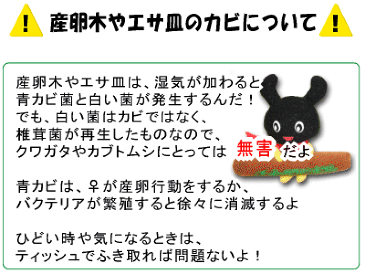 楽天市場】バクテリア産卵木☆太目 : クワガタ・カブト専門店イークワ