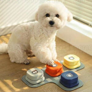 ViIp ^{^ b{^ {^ x R~jP[V g[jO P ybg m  4FZbg VRS}bgt PldrtĂ܂