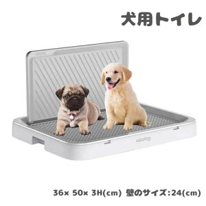 gC ^ bV g[Ch p g[jO g[ hbOg[ ybggC  ǕtgC |N O