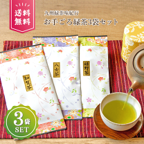 ‼️新茶‼️嬉野茶　煎茶　100g 5本セット kajiwara_10000023