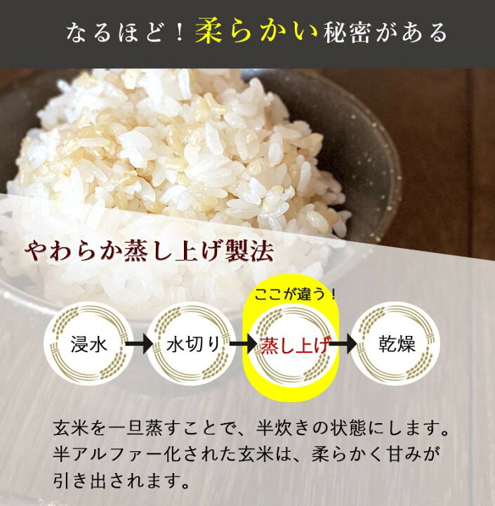 非常に高い品質 発芽玄米 無洗米 400g 送料無料 秋田県大潟村産 ミルキープリンセス100% ダイエット 腸内環境 内臓脂肪 食物繊維 GABA  ギャバ 特別栽培 有機 玄米 無添加 米ぬか 発酵肥料 ストレス 疲労 うつ低減 免疫力 桑郷 