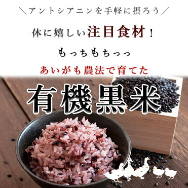 数量限定 1000円ポッキリ 対象期間は4日 00 黒米 国産 400g 送料無料 秋田県産 有機黒米 ダイエット 腸内環境 内臓脂肪 食物繊維 ポリフェノール 雑穀 雑穀米 古代米 くろまい くろごめ こくまい 紫黒米 紫米 無農薬 無添加 妊婦 免疫力 桑郷 Room 欲しい に