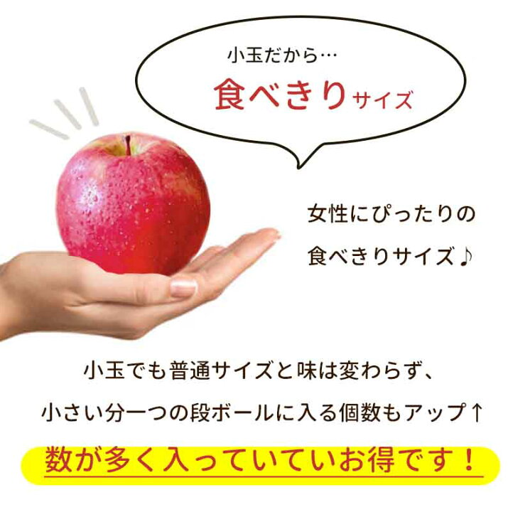 青森県産りんご★葉とらずサンつがる小玉★自然栽培