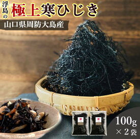 ひじき 国産 100g 2袋セット 送料無料 (山口県周防大島産 天然ひじき) 食物繊維 カルシウム マグネシウム 無添加 海藻 佃煮 つくだ煮 煮物 乾燥ひじき ひじきごはん 混ぜご飯 ご飯のお供 おつまみ 伝統製法 桑郷