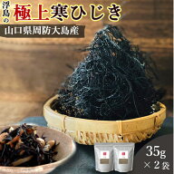 ひじき 国産 35g 2袋セット 送料無料 (山口県周防大島産 天然ひじき) 食物繊維 カルシウム マグネシウム …