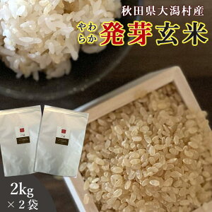 茺  2kg×2܃Zbg  (Hc劃Y ~L[vZX100%) _CGbg  b H@ GABA Mo ʍ͔| L@  Y Ăʂ y엿 XgX 