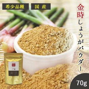 生姜 金時生姜 粉末 70g 送料無料 (愛知県産 金時生姜100%粉末) しょうが パウダー ジンジャー 血行促進 風邪予防 冷え性 無添加 金時しょうが 10倍 40倍 生姜パウダー ショウガパウダー 口臭予