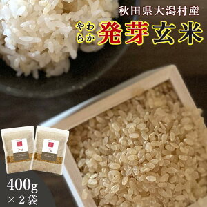 茺  400g 2܃Zbg  (Hc劃Y ~L[vZX100%) _CGbg  b H@ GABA Mo ʍ͔| L@  Y Ăʂ y엿 XgX 