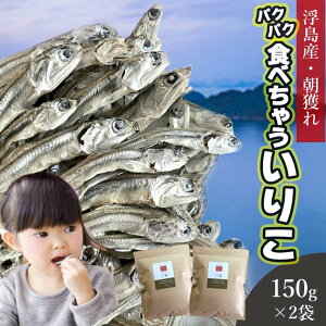 ϊ 肱 150g 2܃Zbg  (Rh哇Y Ќ킵) _CGbg ς J[ JVE ~l DHA EPA Y ō CV  ɏ  ˓C tT