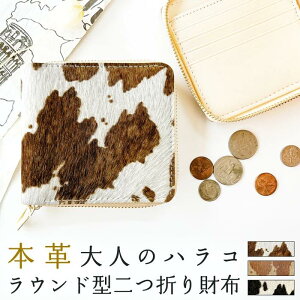 nRU[ 2܂z ܂z z TCt Eht@Xi[ {v Eh^z K ܂ Y fB[X RpNg ^ J[h vz EHbg RC