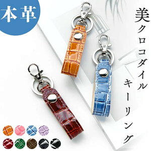 {v L[O NR_C {vL[O v Xibv{^ L[z_[ iXJ obO`[ U[ { fB[X Y ^ ɕ j Gi xg[v 