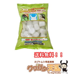[[@x[VbNveC[[@^pN z 16g×300yz@NK^@@a@[[@삫̂