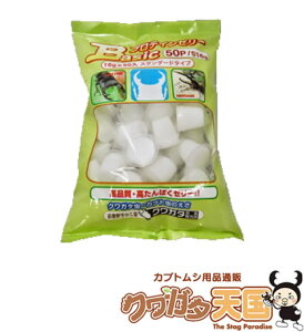 [[@x[VbNveC[[@^pN z 16g×600@NK^@@a@[[@삫̂