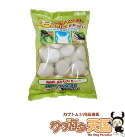 昆虫ゼリー　クワガタ・カブトムシ成虫のエサ虫ゼリー！タンパク質 配合　17g×50個入り食べ易い広口タイプ(ワイドカップ）かぶと虫、くわがたむし用